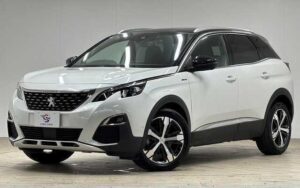2019 Peugeot 3008 GT-Line 1.6L — photo 1