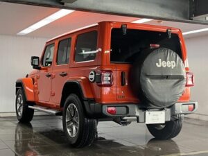 2019 Jeep Chrysler Wrangler Unlimited Sahara 3.6L — photo 4