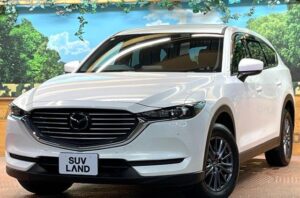 2019 Mazda CX-8 25S 2.5L