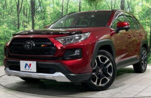 2021 Toyota RAV4 Adventure AWD 2.0 — photo 2