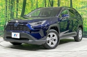 2019 Toyota RAV4 X Hybrid 2WD 2.5L — photo 2