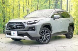 2022 Toyota RAV4 Adventure Hybrid AWD 2.5 — photo 2