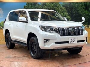 2019 Toyota Land Cruiser Prado TX 2.7L