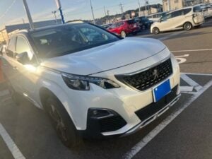 2020 Peugeot 3008 Cross City Blue HD 2.0L