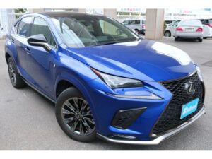 2020 LEXUS NX300 AWD 2.0