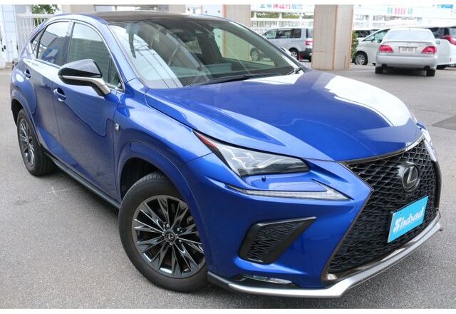 2020 LEXUS NX300