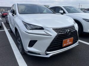 2020 LEXUS NX300 AWD 2.0