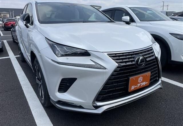 2020 LEXUS NX300 AWD