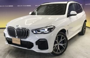 2021 BMW X5 xDrive35d M-sport 3.0 — photo 2