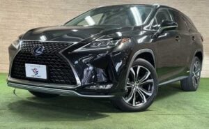 2020 Lexus RX450hL 3.5 — photo 1