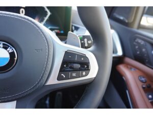 2025 BMW X7 xDrive40d M Sport 3.0 — photo 3