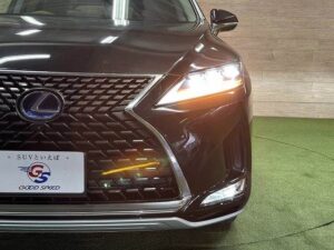2020 Lexus RX450hL 3.5 — photo 4