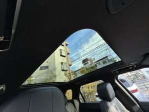 2024 Range Rover Sport Dynamic HSE D300 3.0 — photo 2