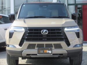 2025 Lexus GX550 Overtrail Plus 3.5 — photo 3