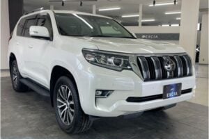 2019 Toyota Prado TX GDJ150 2.8L — photo 1