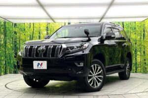 2019 Toyota Prado TX-L 2.7L — photo 2