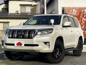 2019 Toyota Prado TX-L 2.7L — photo 1