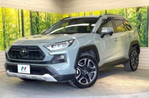 2020 Toyota RAV4 Adventure AWD 2.0 — photo 2