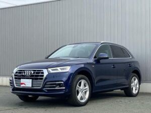 2019 Audi Q5 2.0T 40TFSI Quattro — photo 2