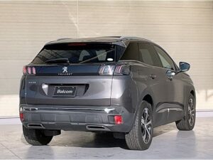 2021 Peugeot 3008 GT-Line Blue HDi 2.0L — photo 3