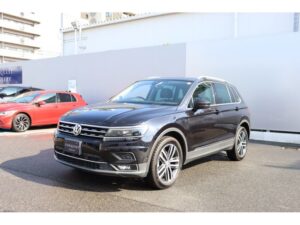 2019 Volkswagen Tiguan TDI Highline 2.0