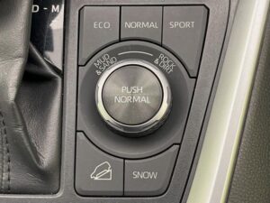 2020 Toyota RAV4 Adventure AWD 2.0 — photo 4