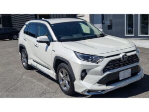 2020 Toyota RAV4 Hybrid AWD 2.5 — photo 1