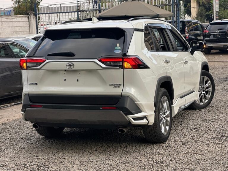 2020 Toyota RAV4 Limited AWD 2.0 — photo 4