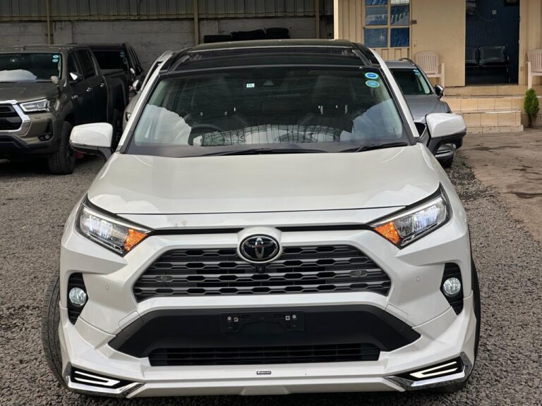 2020 Toyota RAV4 Limited AWD 2.0 — photo 6