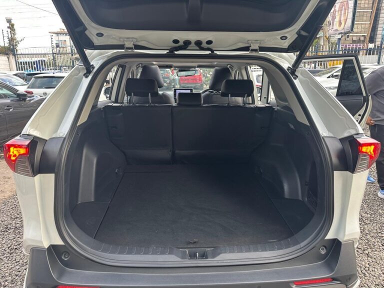 2020 Toyota RAV4 Limited AWD 2.0 — photo 7