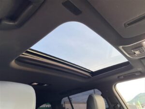2023 Toyota Land Cruiser ZX 300 Series 3.5L — photo 2