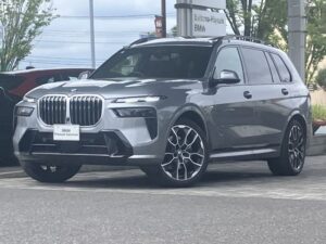 2024 BMW X7 xDrive40d MSport 3.0 — photo 2