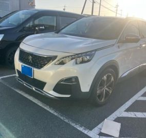 2020 Peugeot 3008 Cross City