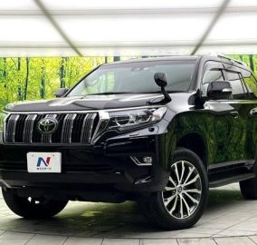 2019 Toyota Prado TX-L