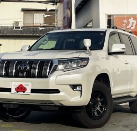 2019 Toyota Prado TX-L