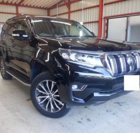 2019 Toyota Prado TX GDJ150