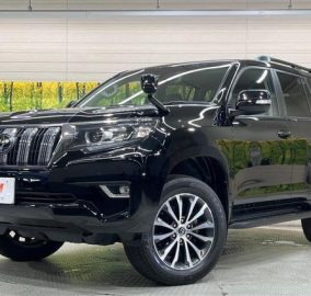 2021 Toyota Prado TX.L