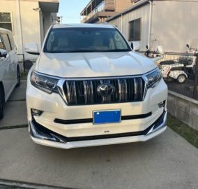 2019 Toyota Land Cruiser Prado