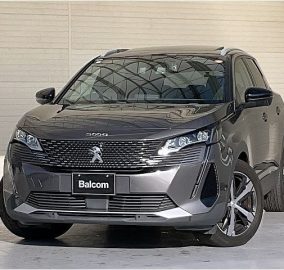 2021 Peugeot 3008