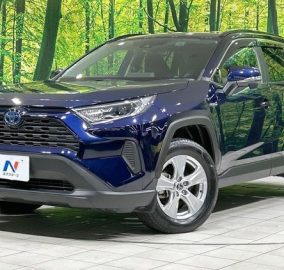 2019 Toyota RAV4 X Hybrid 2WD
