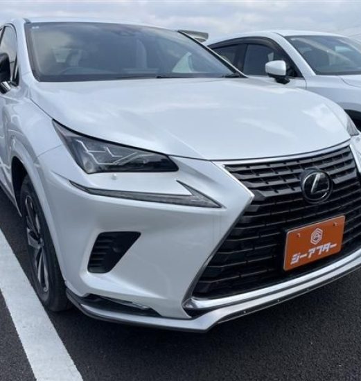2020 LEXUS NX300 AWD