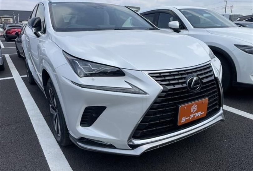 2020 LEXUS NX300 AWD