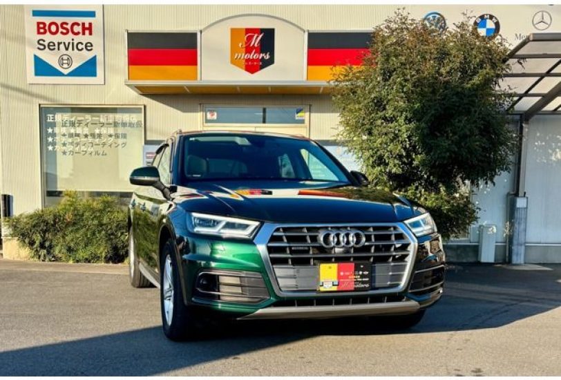 2019 Audi Q5 40TDI Quattro