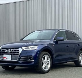 2019 Audi Q5 2.0T 40TFSI Quattro