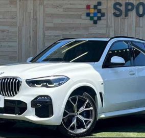 2019 BMW X5 xDrive35d