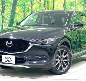 2019 Mazda CX-5 20S