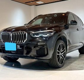 2019 BMW X5 xDrive35d