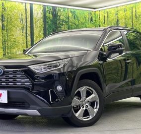 2020 Toyota RAV4 Hybrid