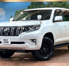 2019 Toyota Land Cruiser Prado TX
