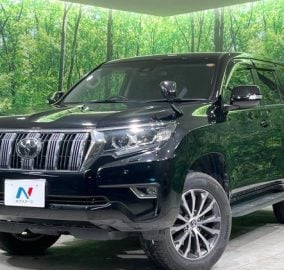 2019 Toyota Land Cruiser Prado TX